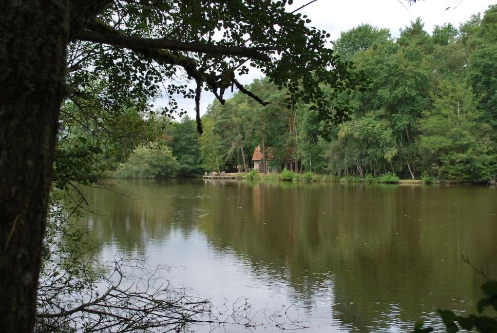 Paradis Perdu En Sologne Avec Plage Privee Villeny Exterior foto