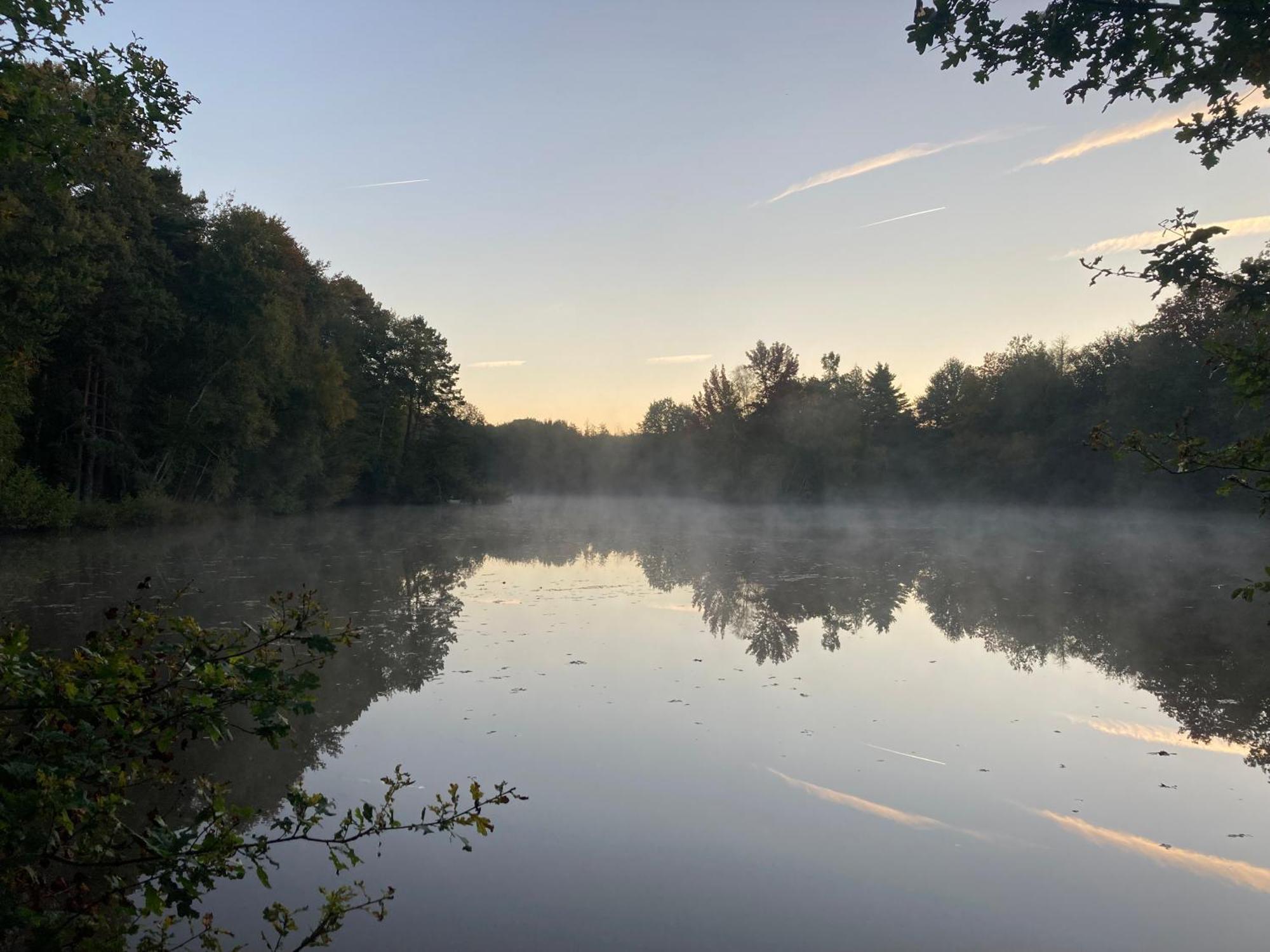 Paradis Perdu En Sologne Avec Plage Privee Villeny Exterior foto